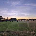 field-150x150 1