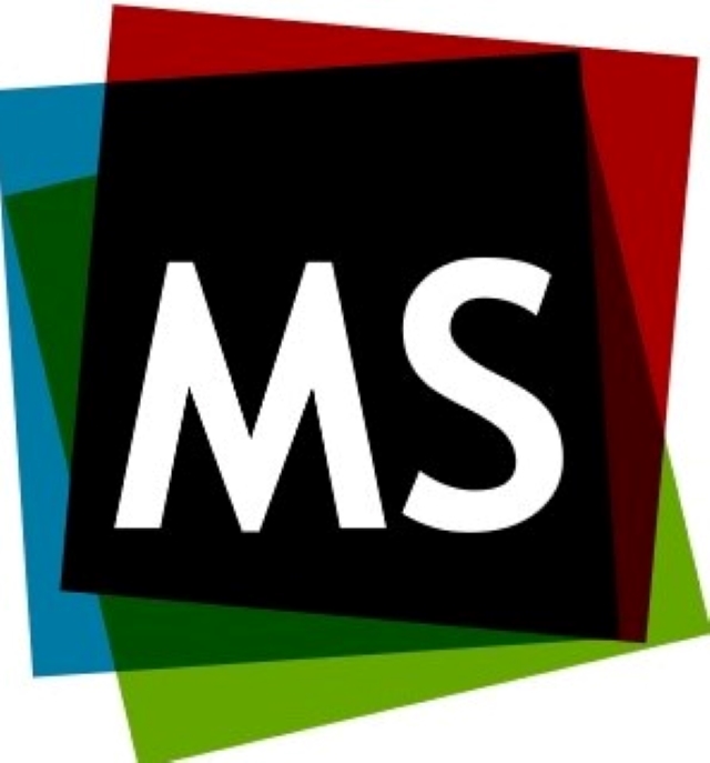 ms logo