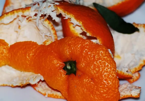 orange-peel-517567_640